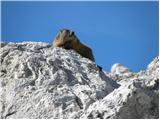 Rifugio Pederü - Sasso delle Dieci / Zehnerspitze